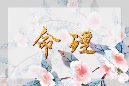 农历日历,农历日历2026黄道吉日,老皇历农历